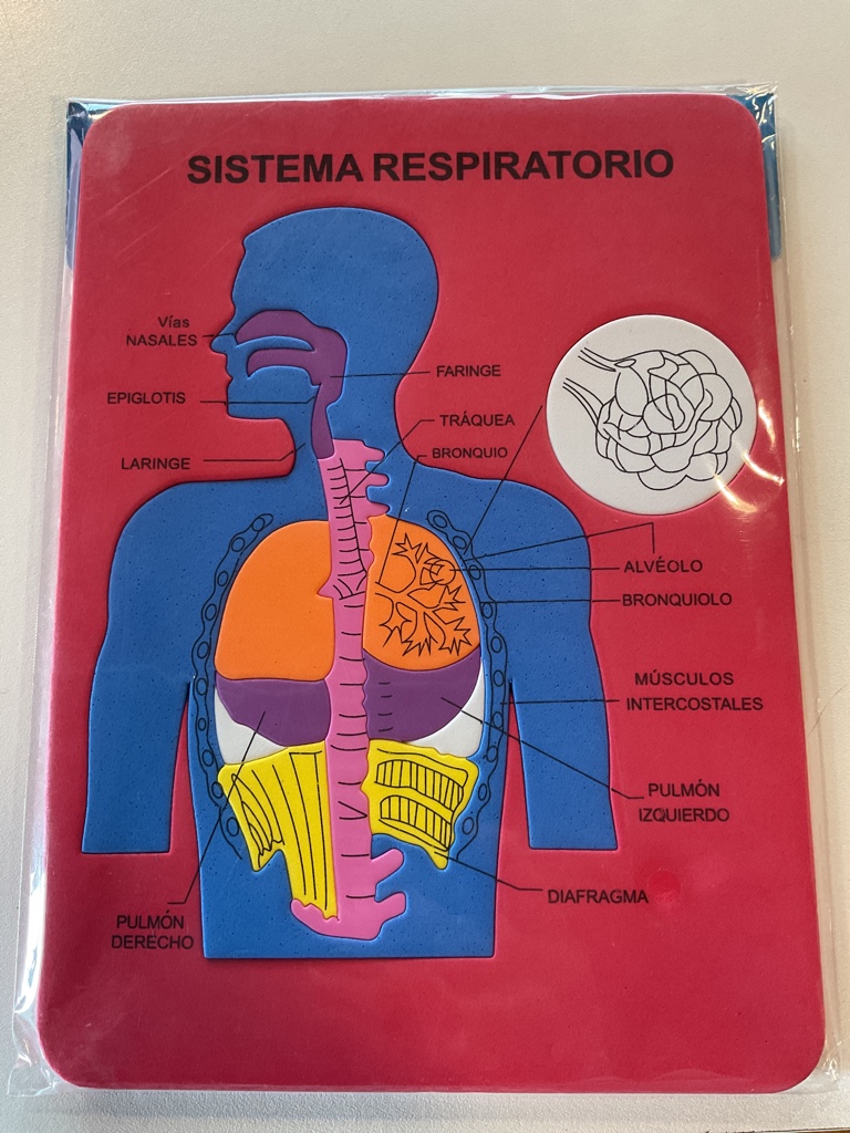 ROM. Sistema respiratorio