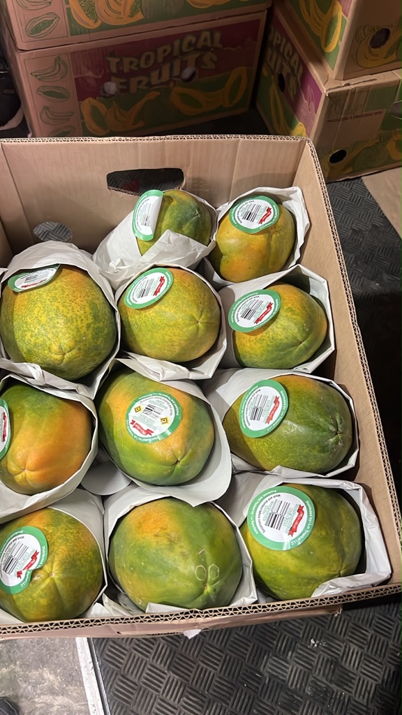 Papaya