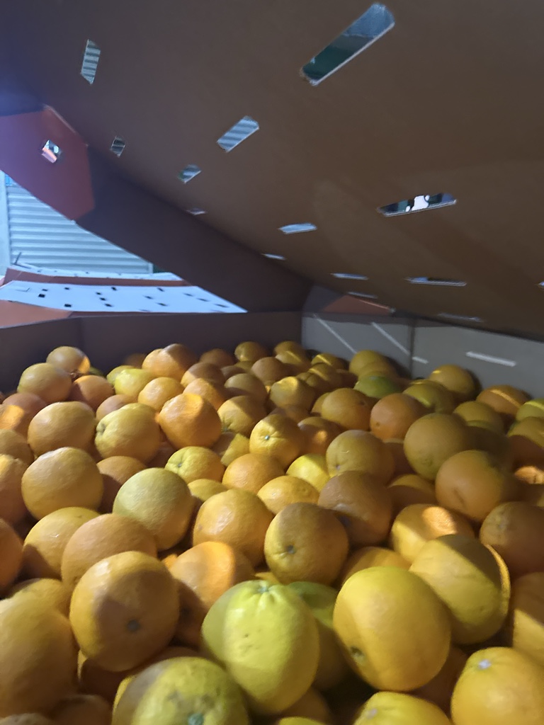 Bin Naranja
