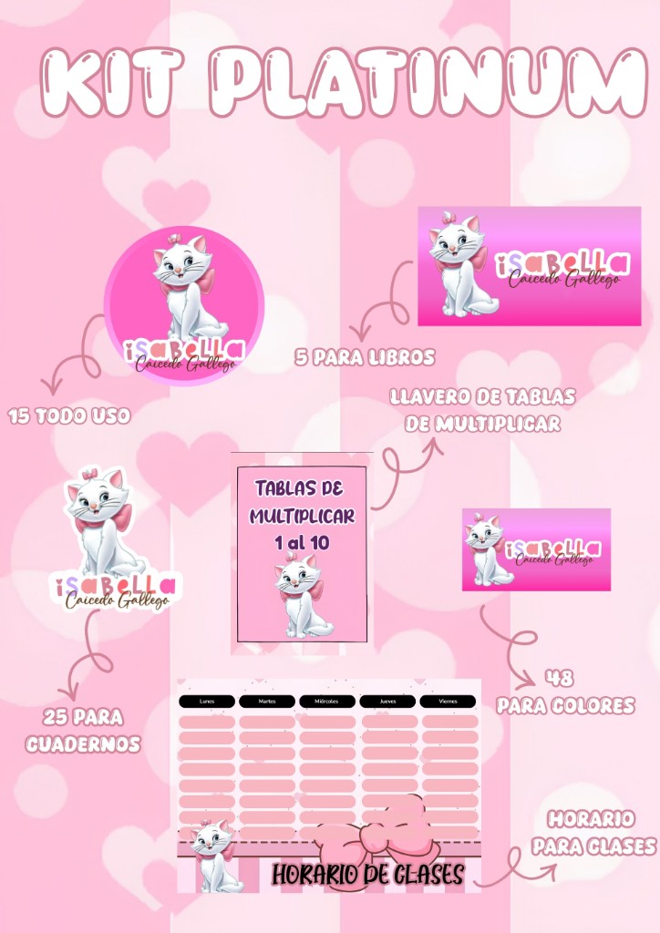 Kit para útiles PLATINUM