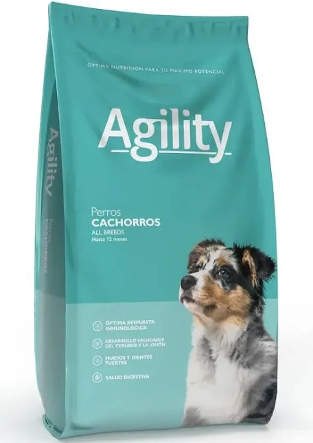Agility cachorros