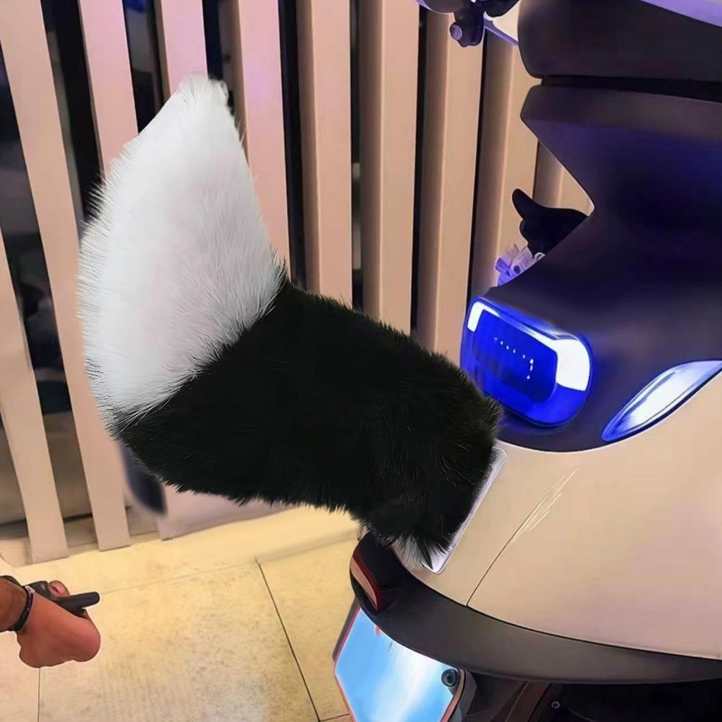 Cola Gato Moto