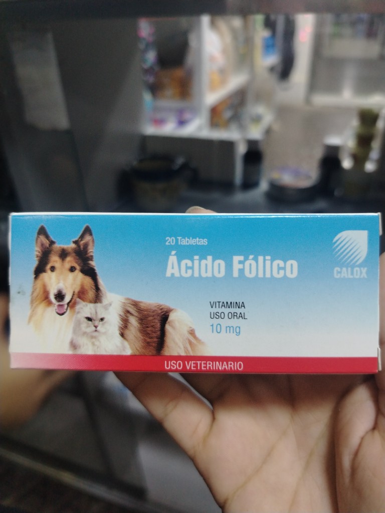 GALOX Ácido Fólico 10mg
