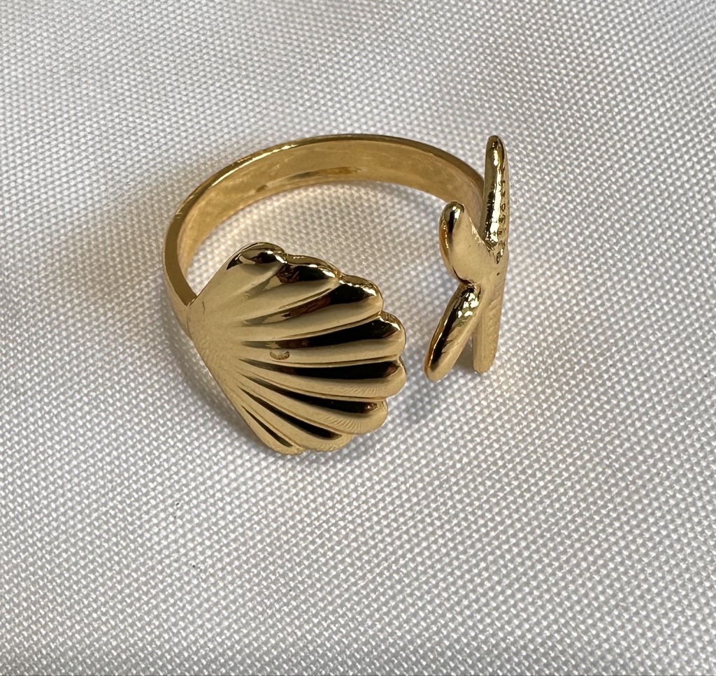 Anillo Arrecife