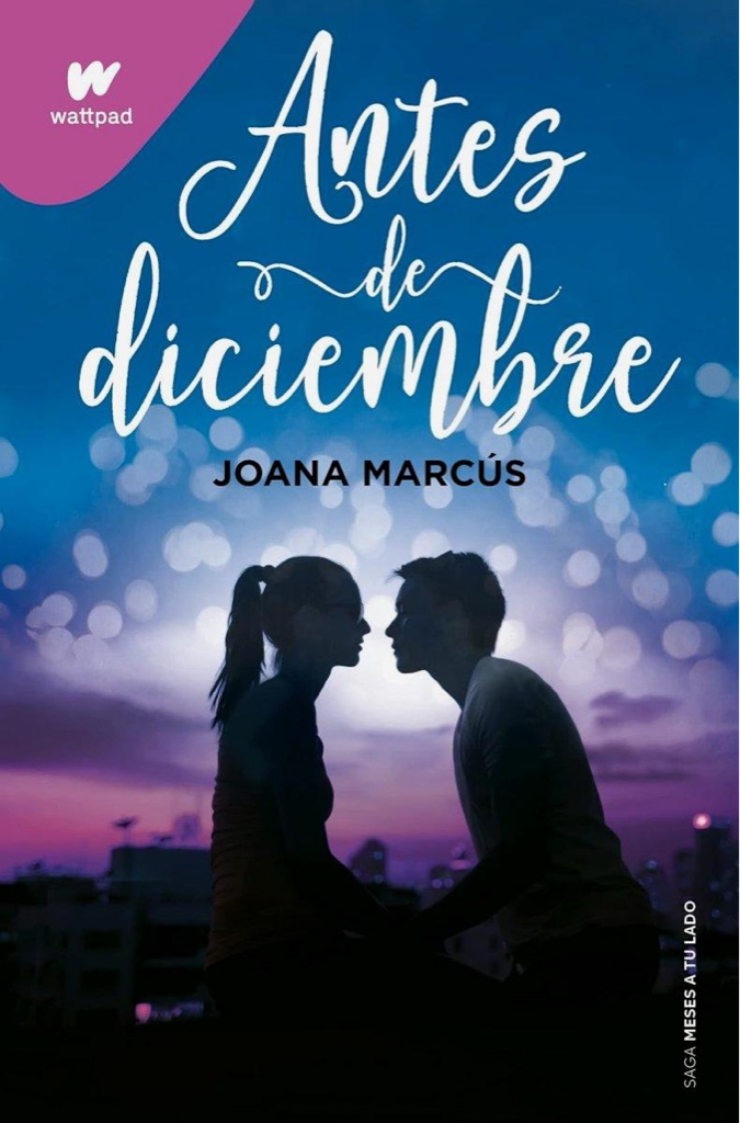 Antes de diciembre libro