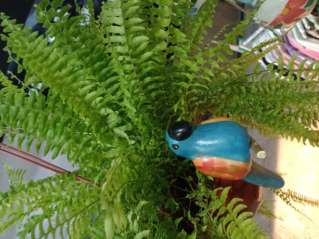 Pájaro chico