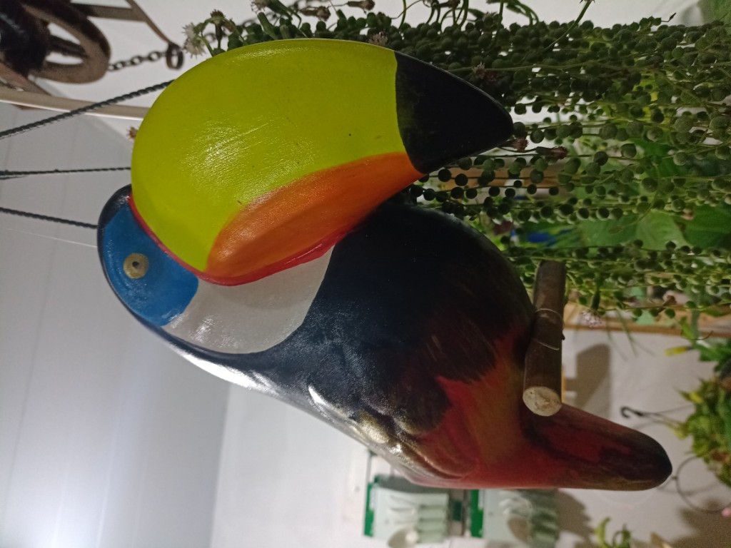 Tucán grande