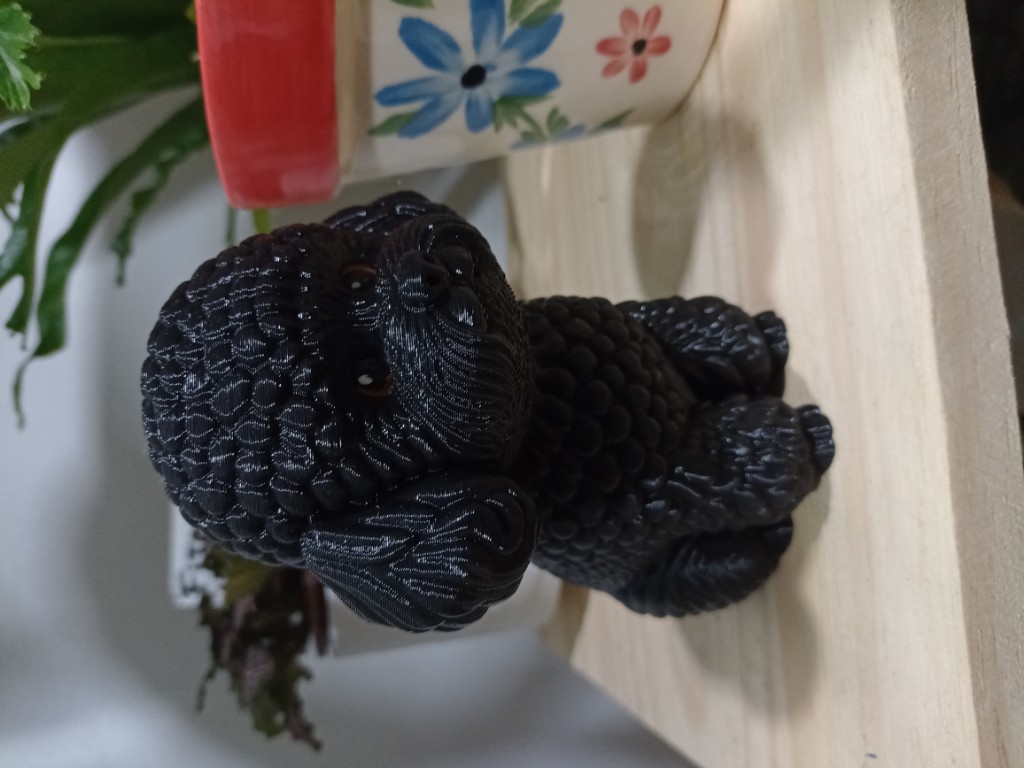 3D caniche chico