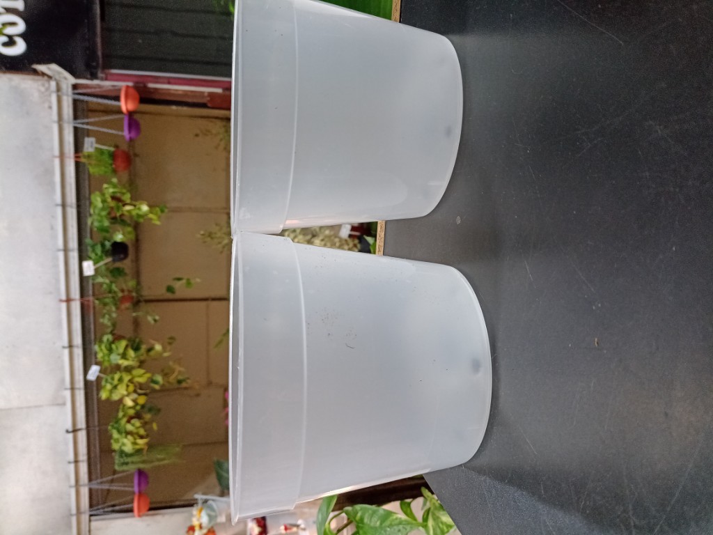 Maceta transparente n16