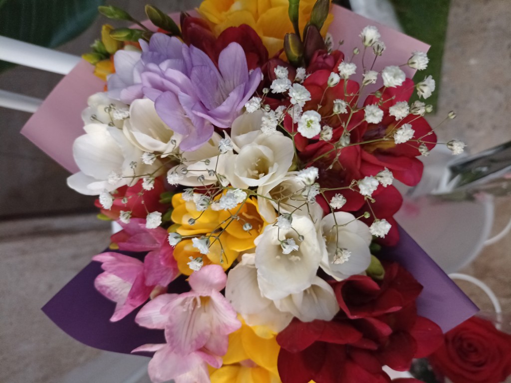 Ramo Fresias
