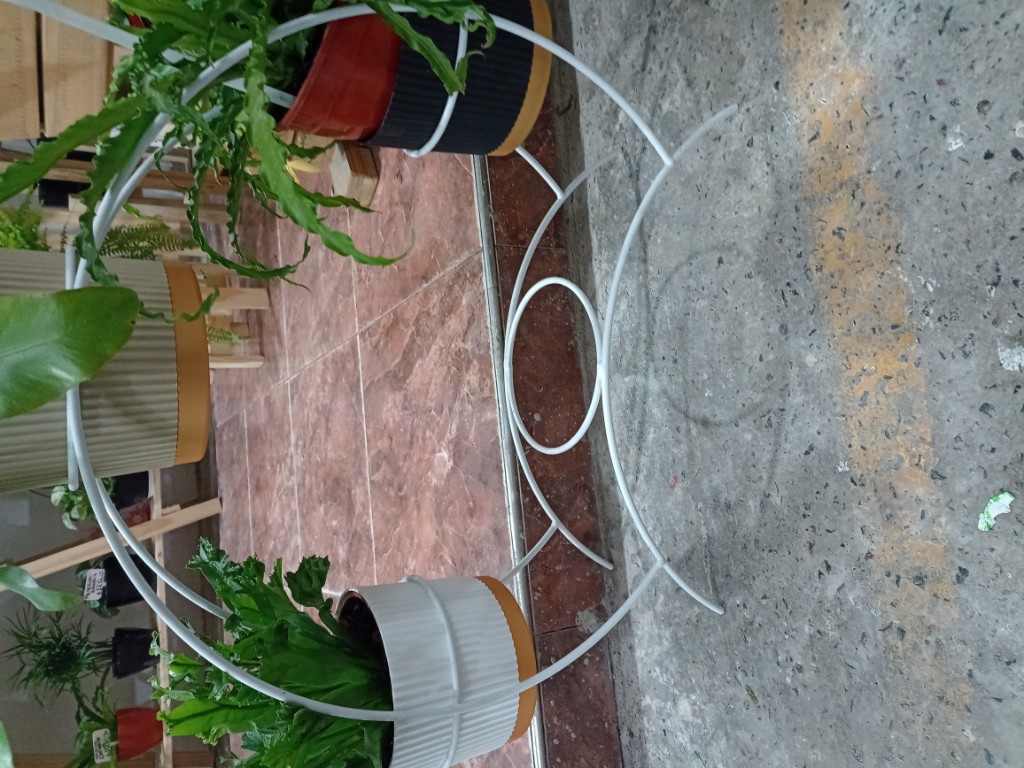 Semicírculo hierro