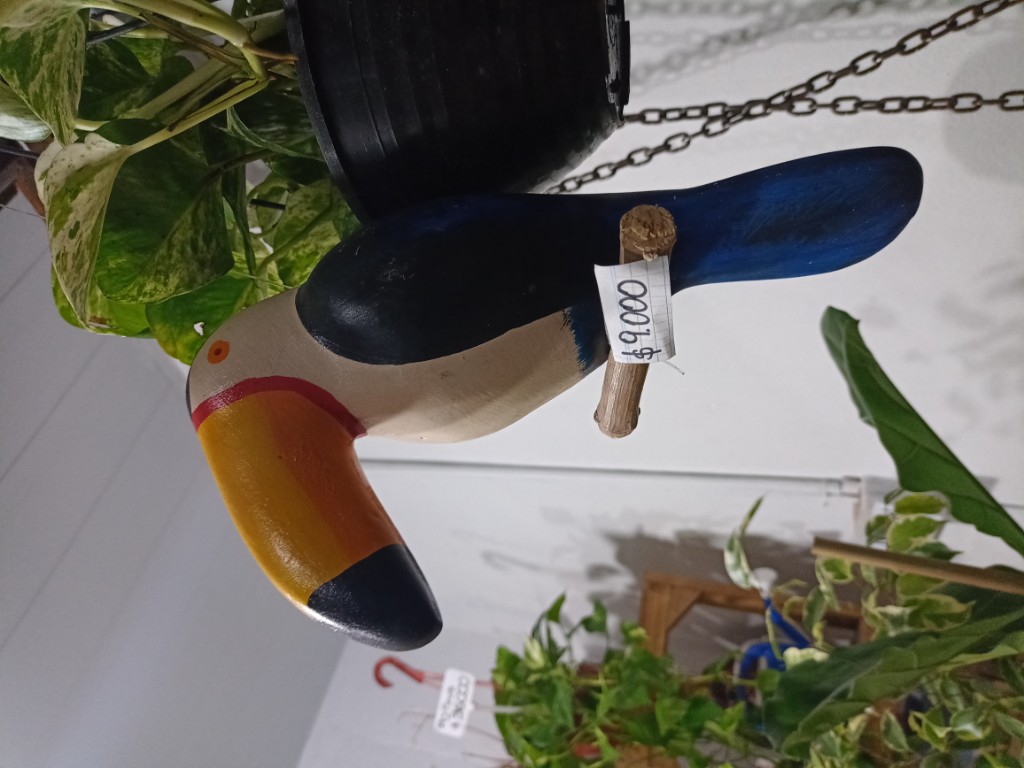 Pájaro mediano