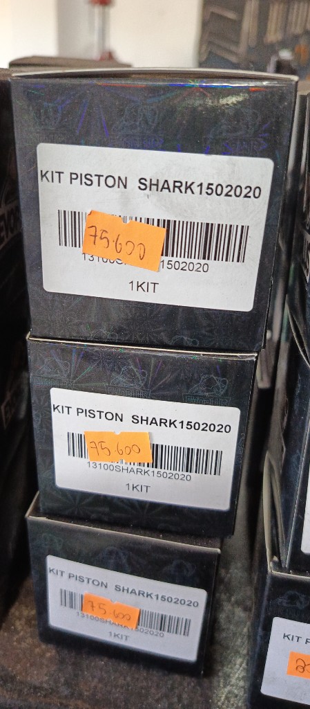 Kit pistón Shark 2020 EVOPLUS