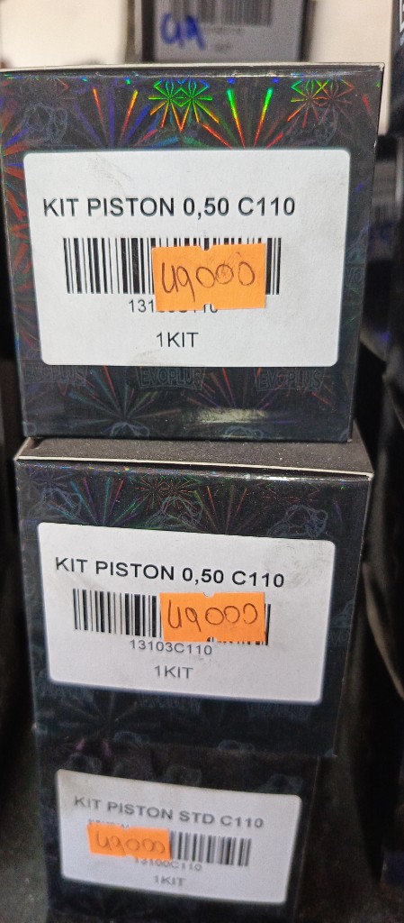 Kit pistón 0,50c100 evo