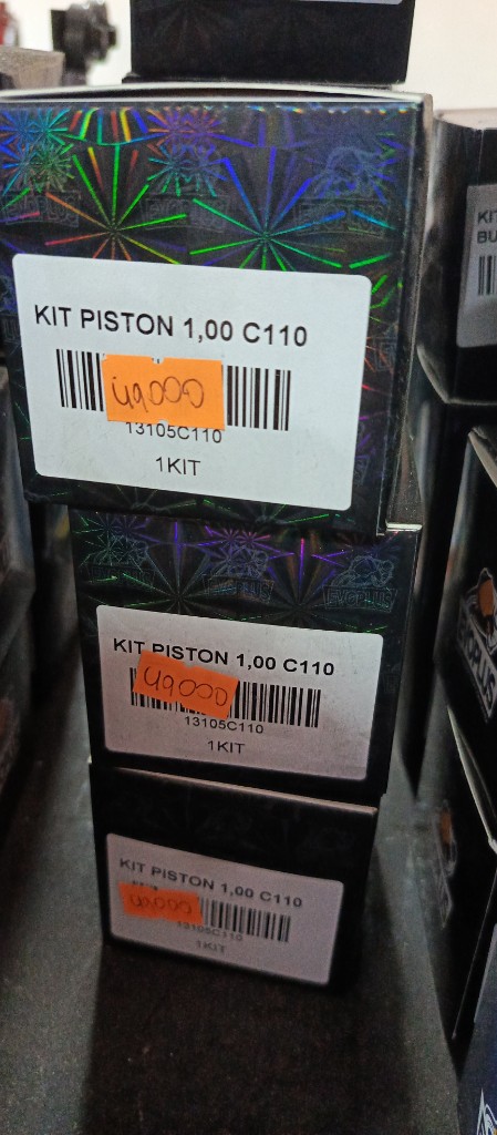 Kit pistón 1,00c100 evo