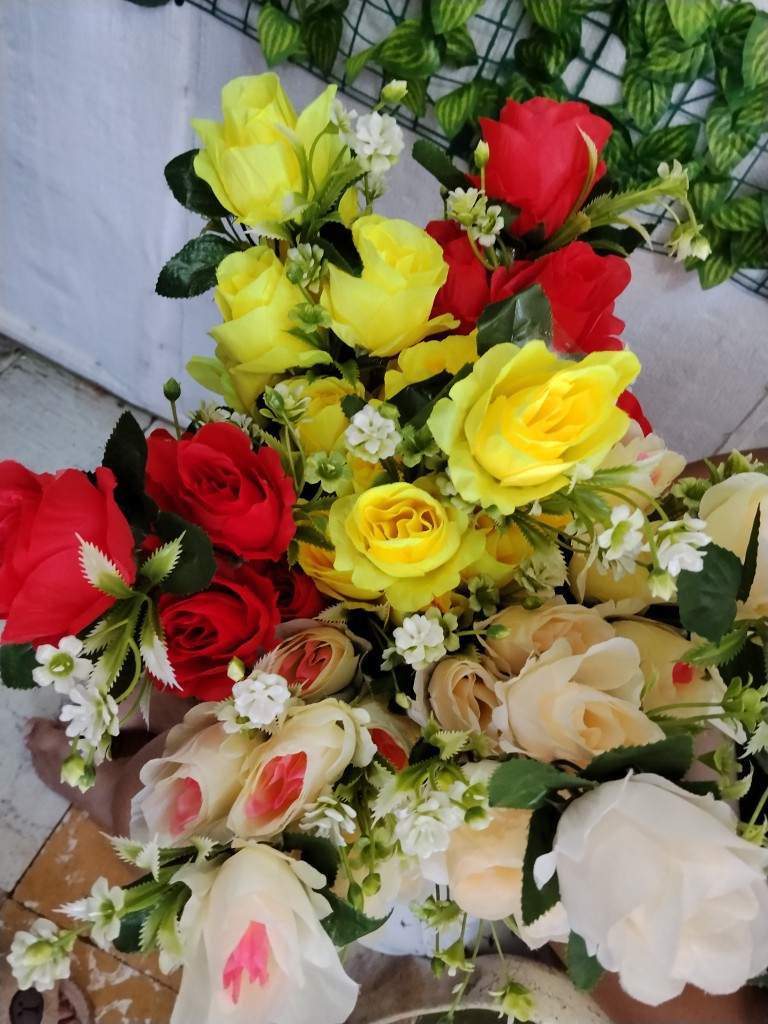 Rosa  pm527