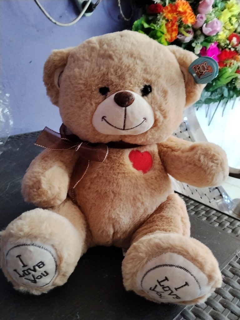 Peluche oso colores