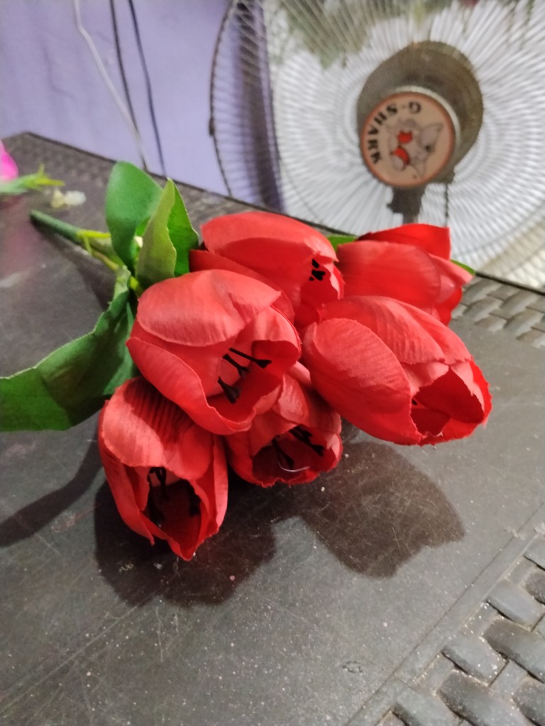 Tulipanes