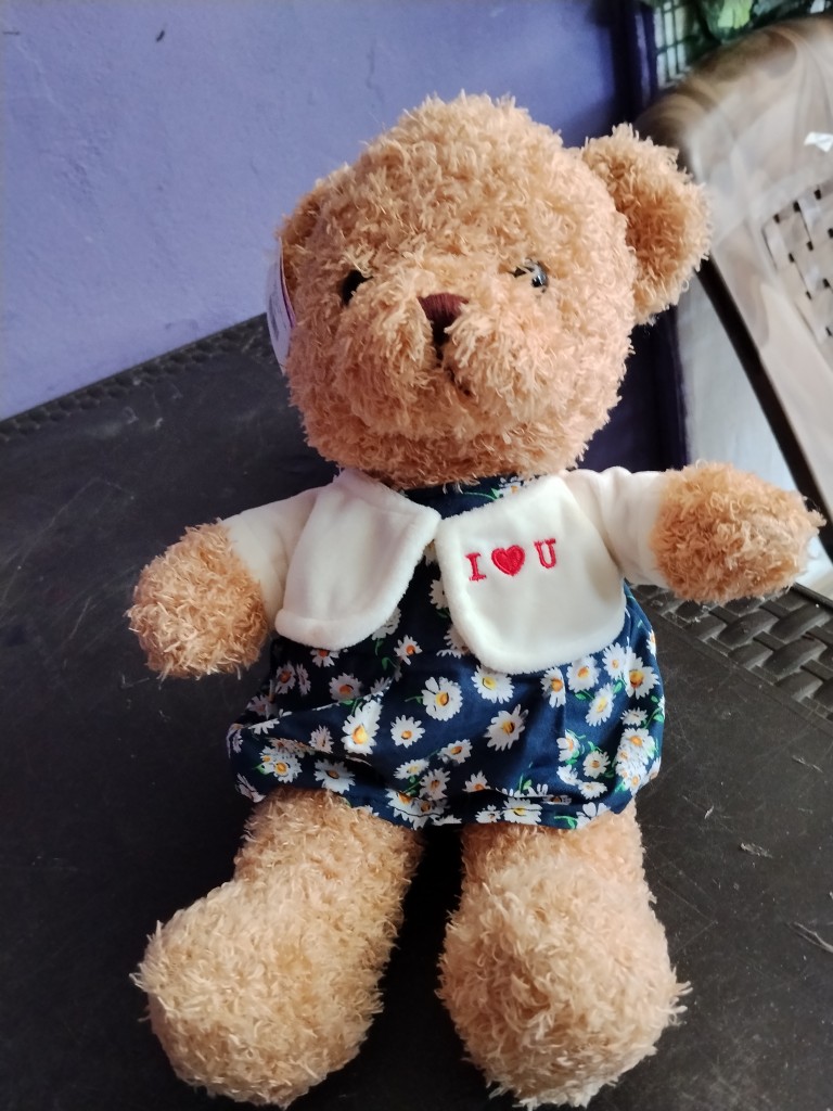 Peluche oso abrazo
