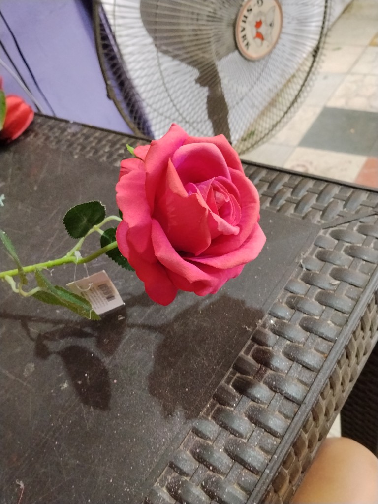 Rosa unidad