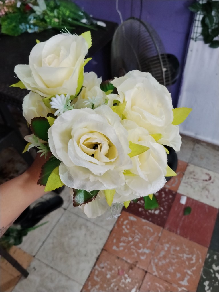 Rosa pm 529