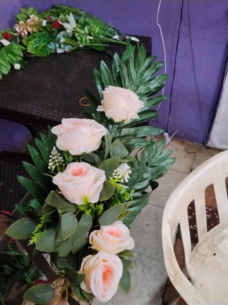 Rosa elecho tg006
