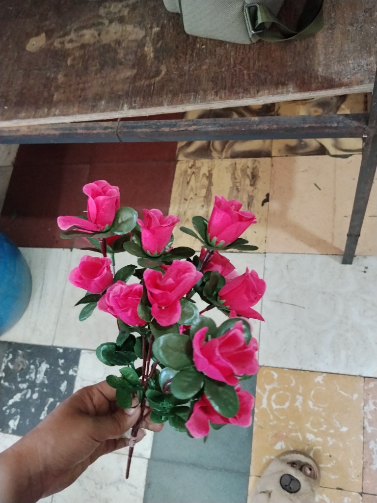 Mini rosa