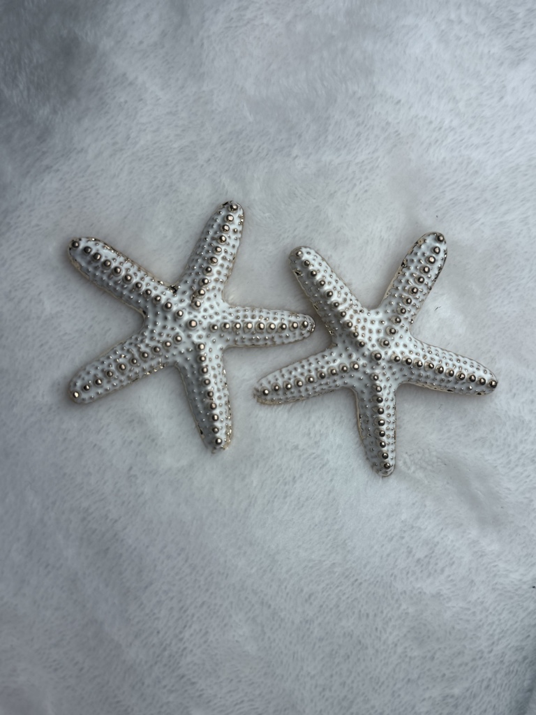 Aretes de estrella blanca