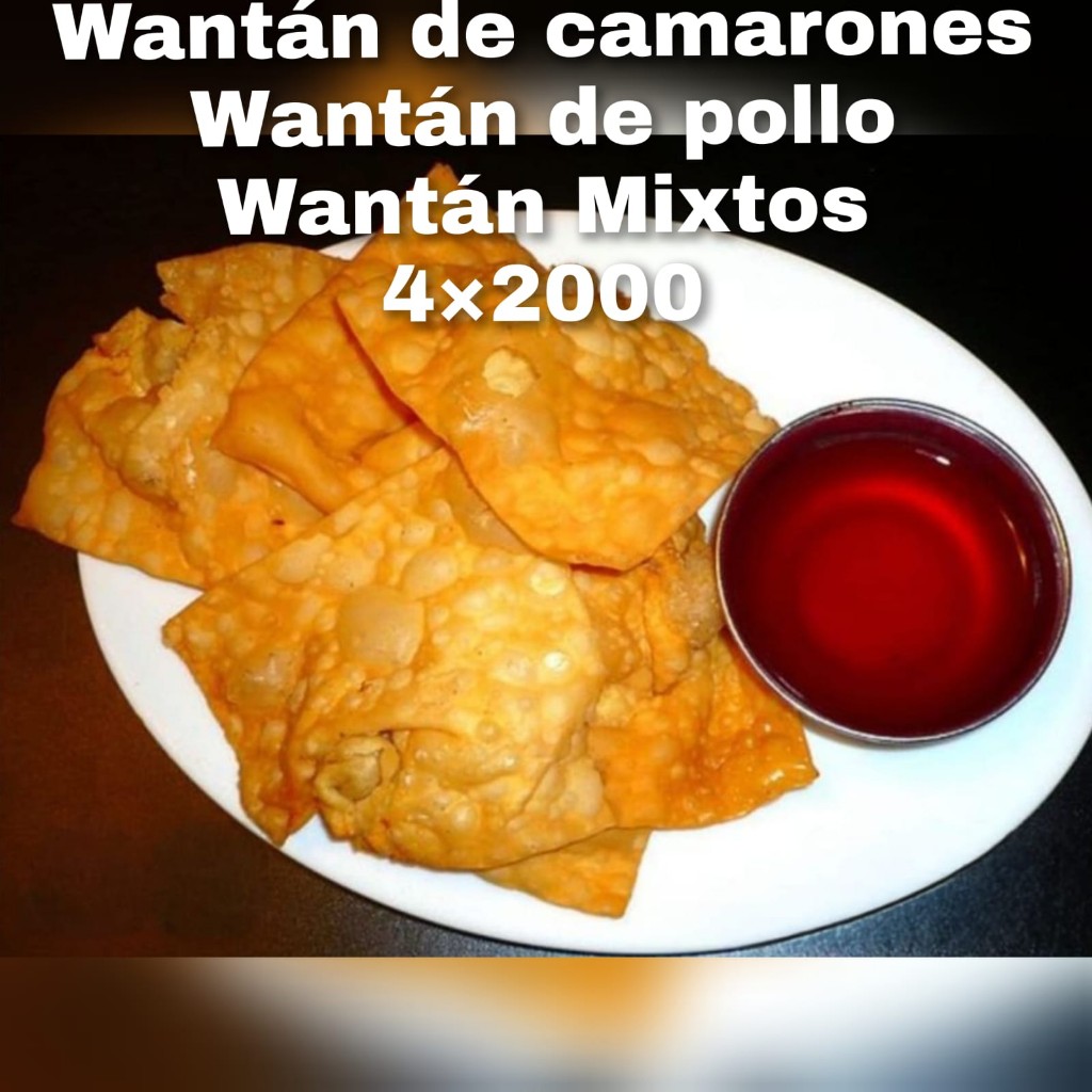 Wantán mixtos , camarónes o pollo