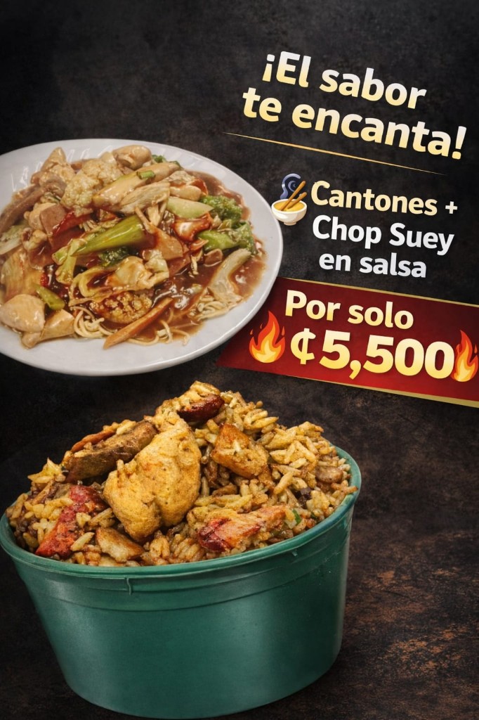 Promo de Cantones + Chop Suey en salsa