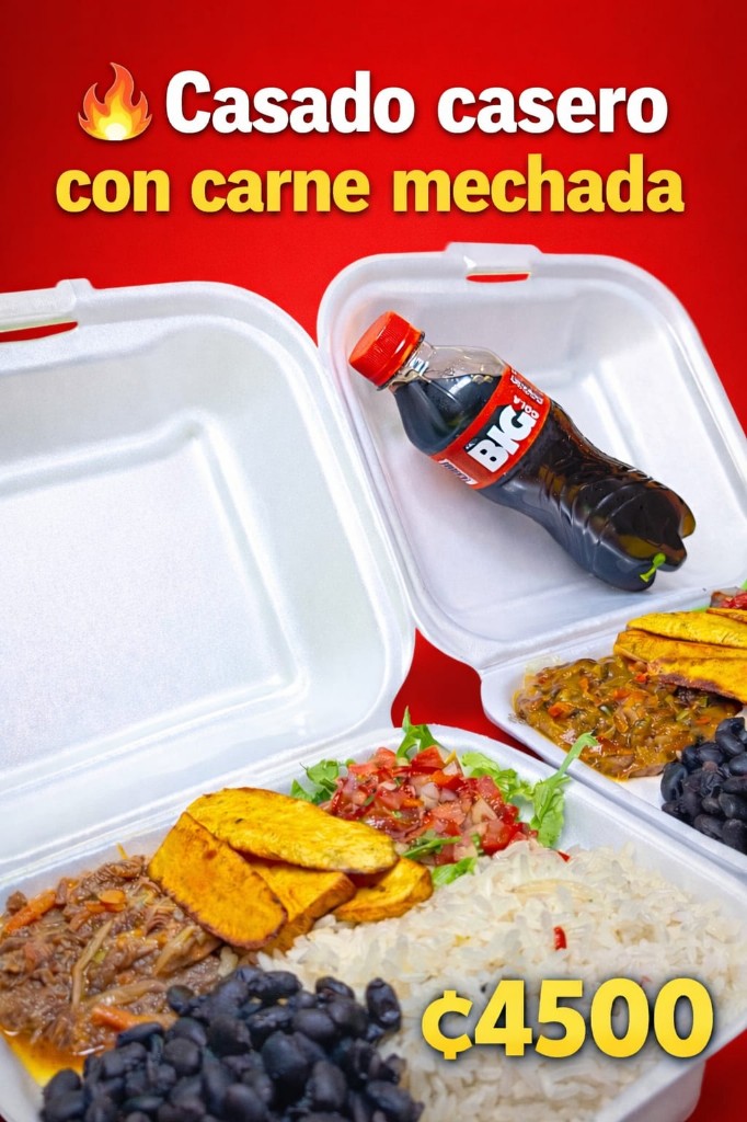 Casado con carne mechada (chino o casero)
