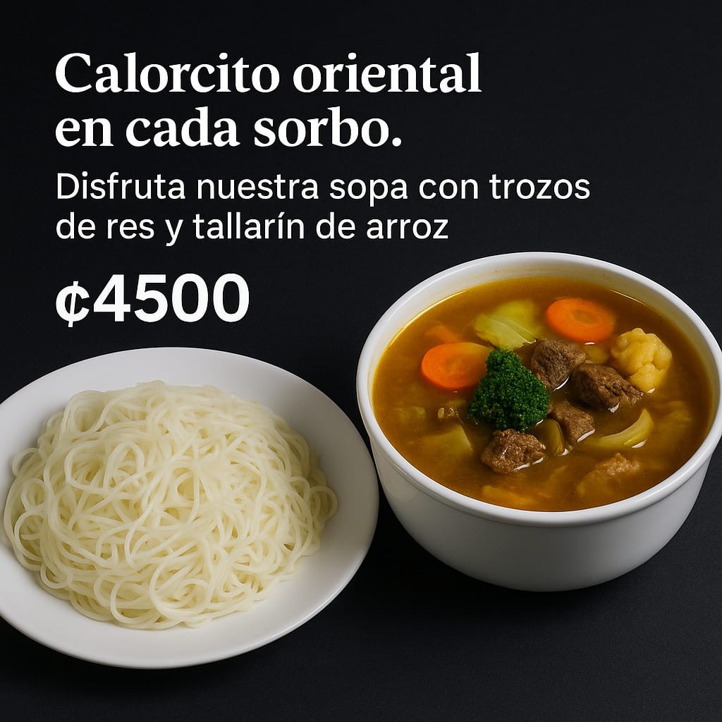 Sopa china con res y tallarin, estilo chino