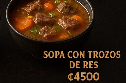 Sopa con trozos de res estilo chino