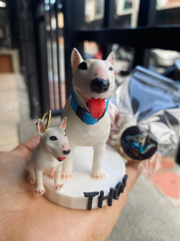 Souvenir Mascotas personalizados