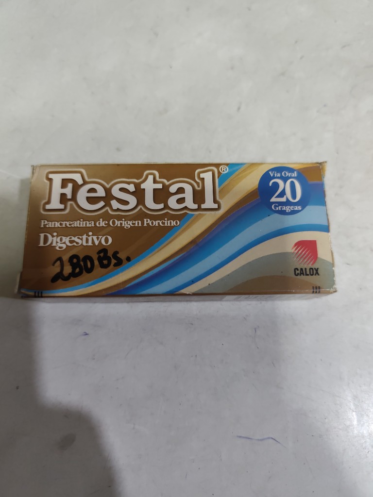 Festal