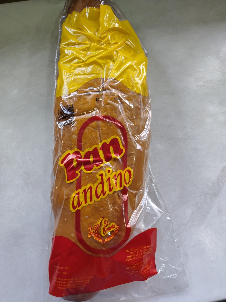 Pan Andino