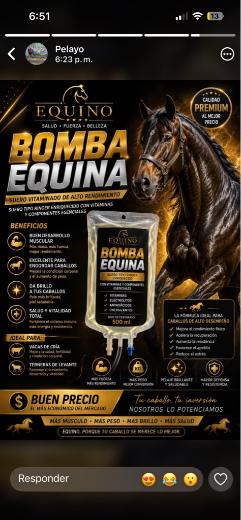 Equino Bomba Equina 500ml