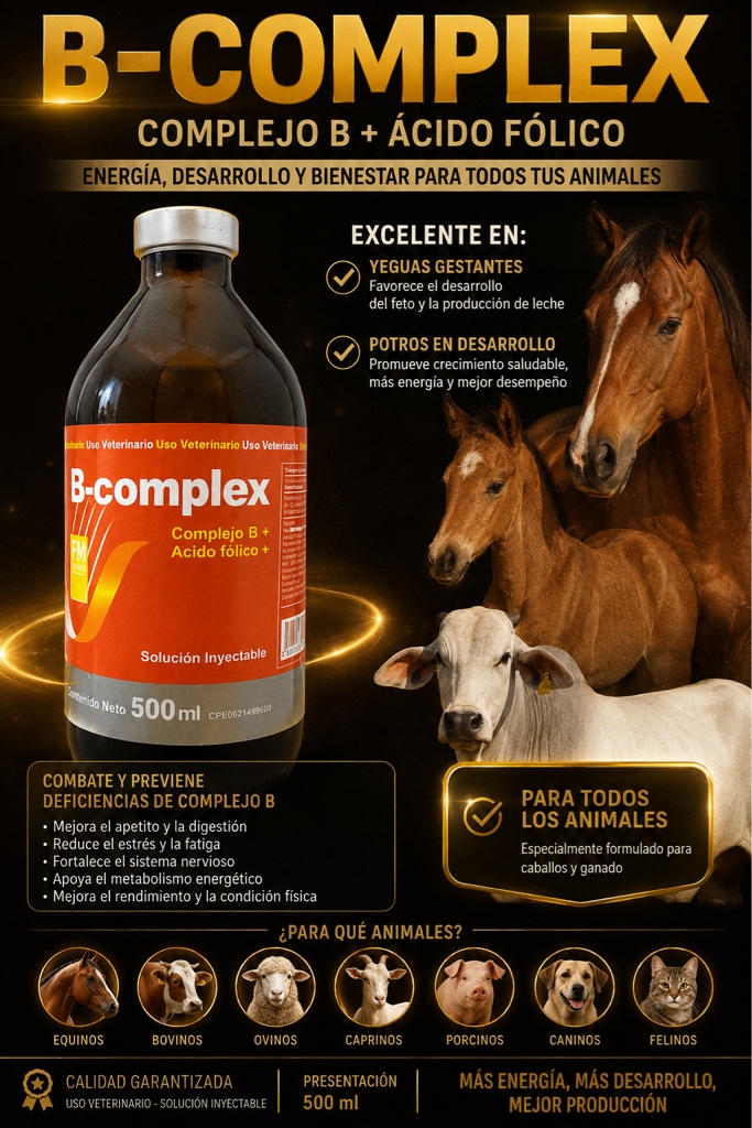 B-Complex inyectable 500ml