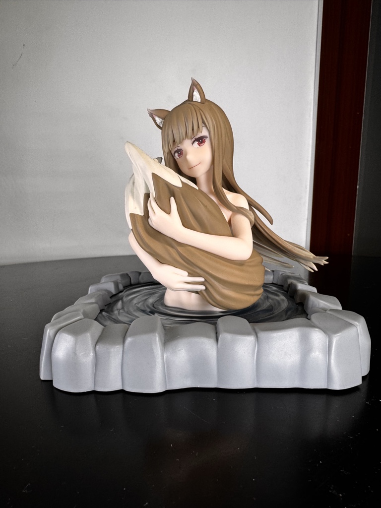 Holo