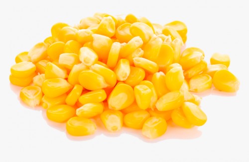 Maiz amarillo