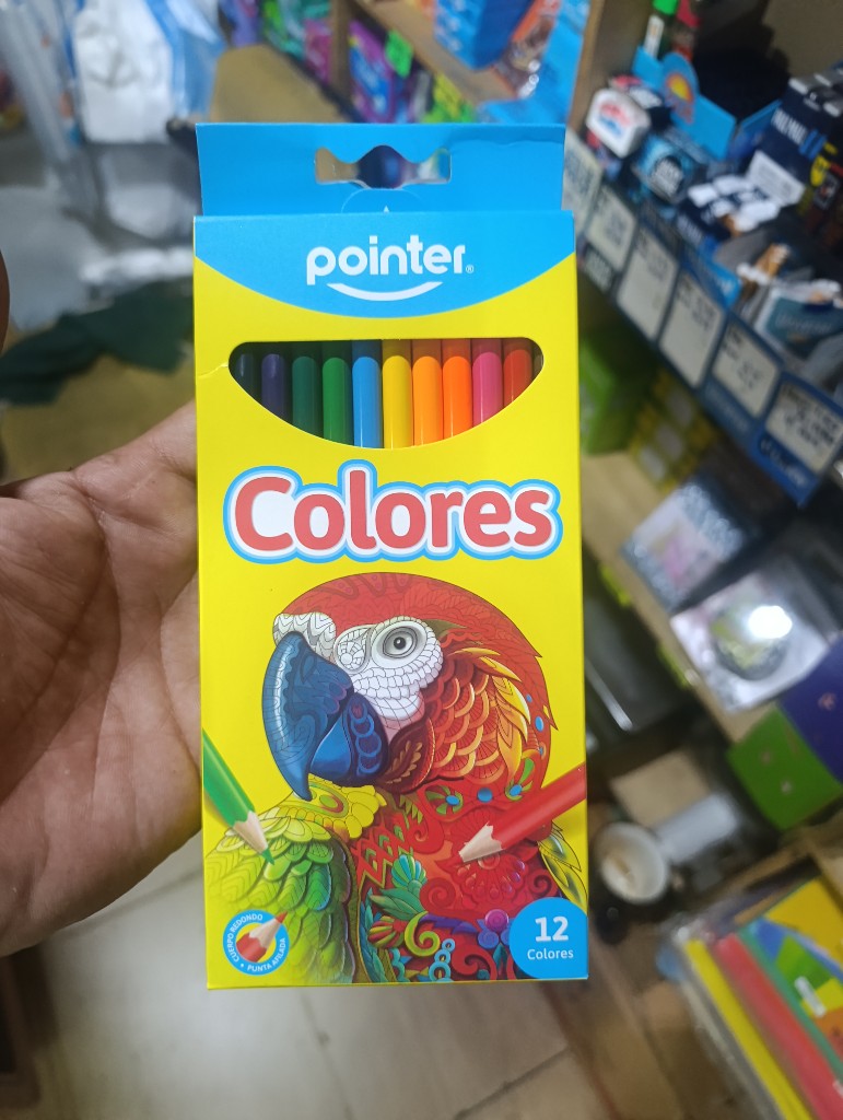 Colores Pointer * 12
