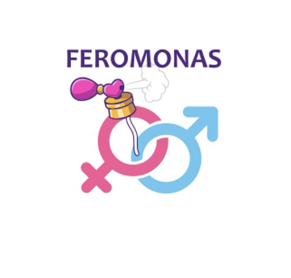 Feromonas