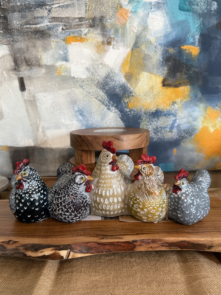 Gallina decorativa surtida