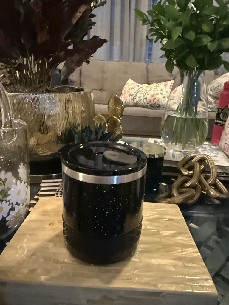 Thermo negro con tapa