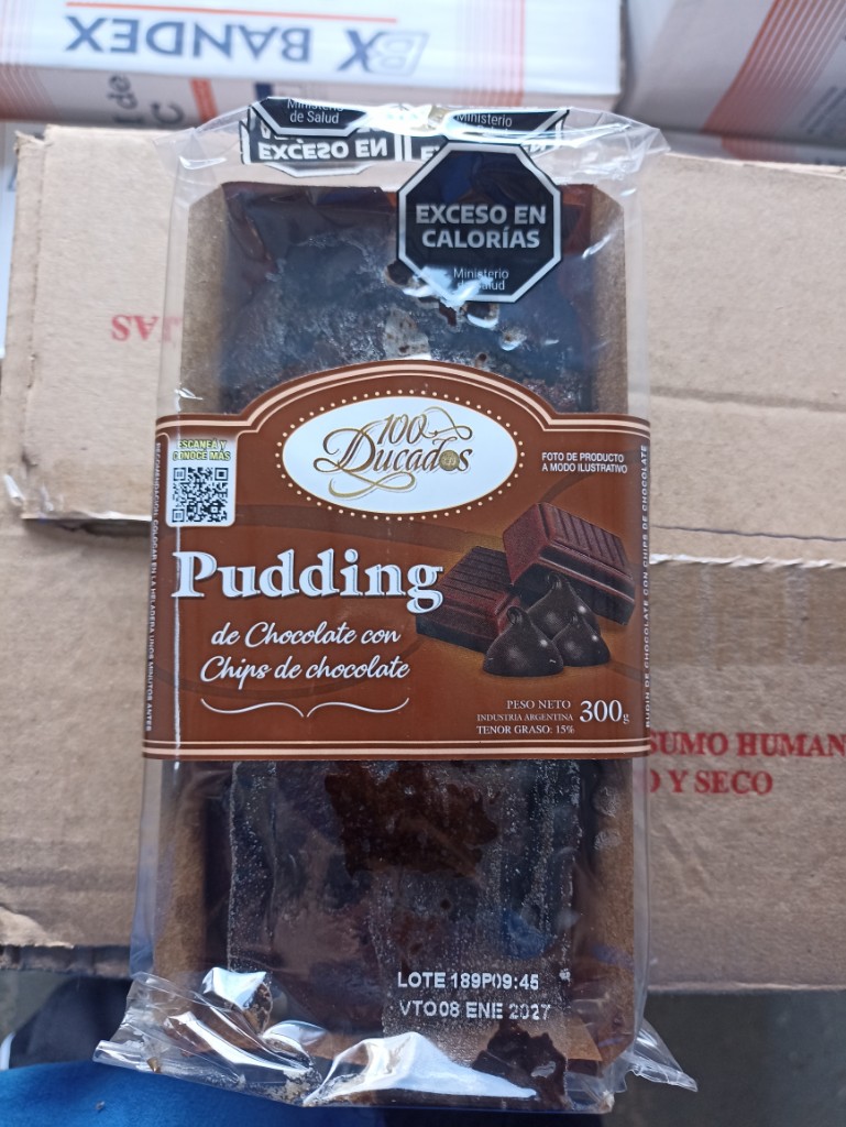 Pudding de chocolate c/ chips 300grx8