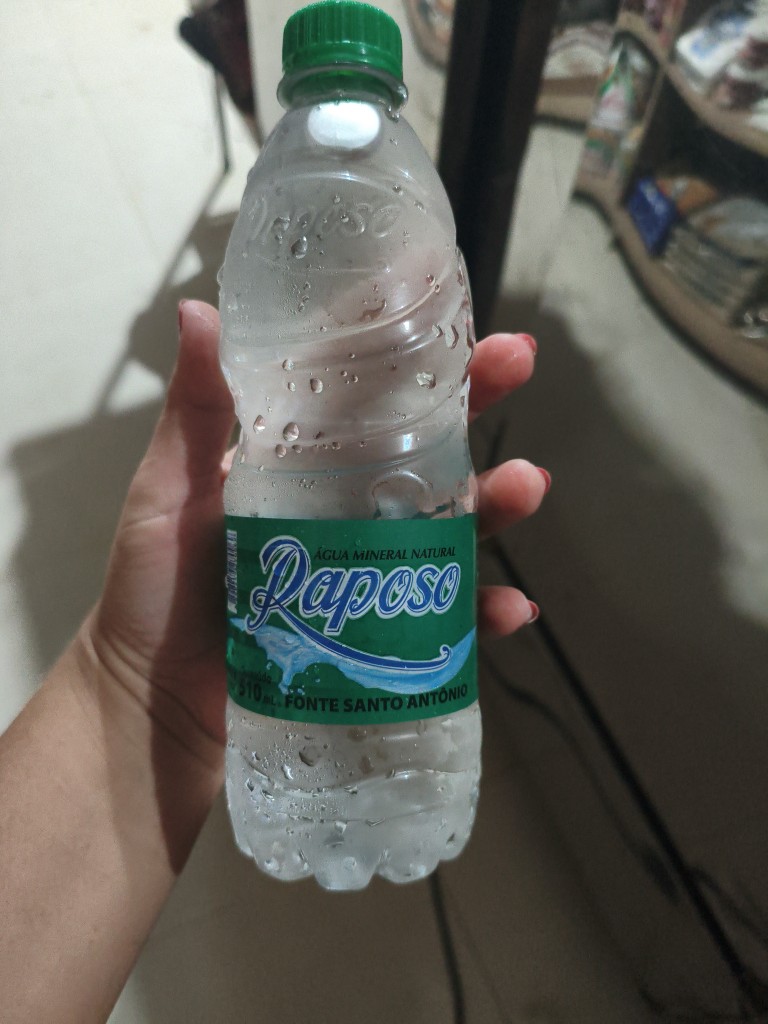 Agua mineral 500ml