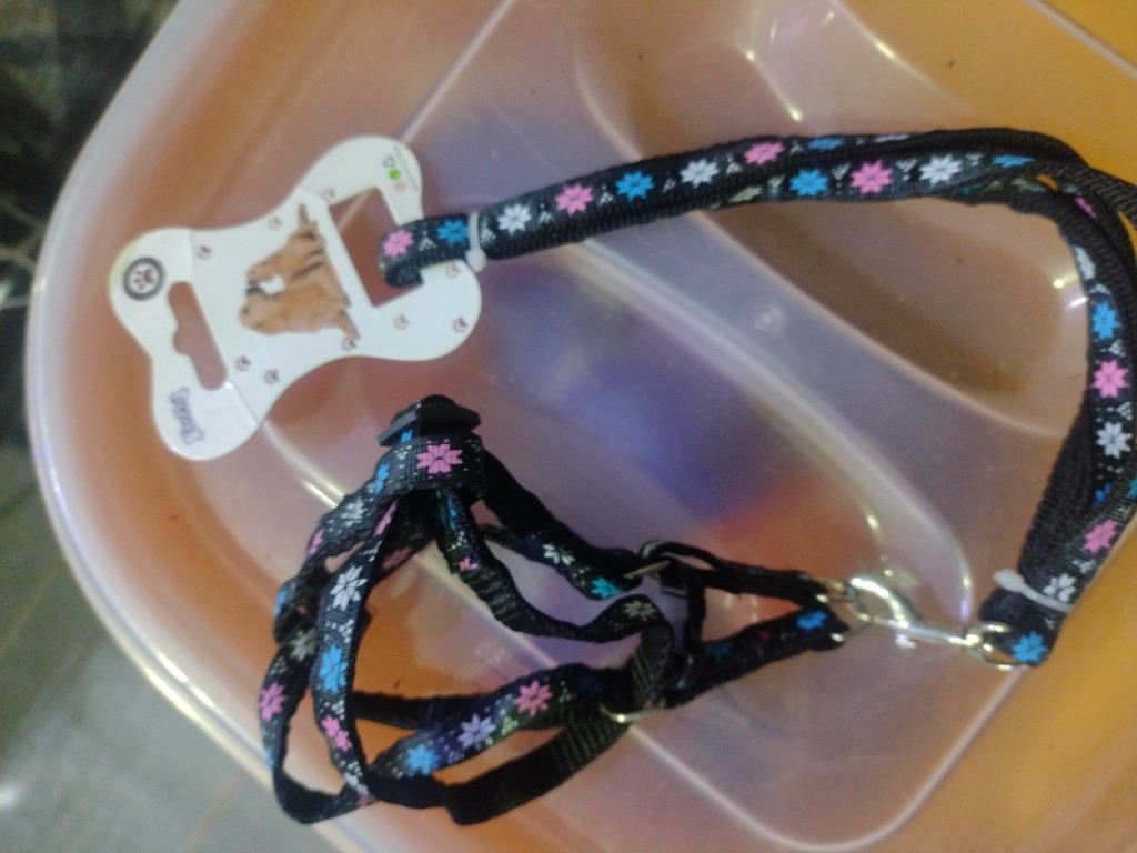ARNÉS PARA PERRO C/DISEÑO Y CORREA PEQUEÑO