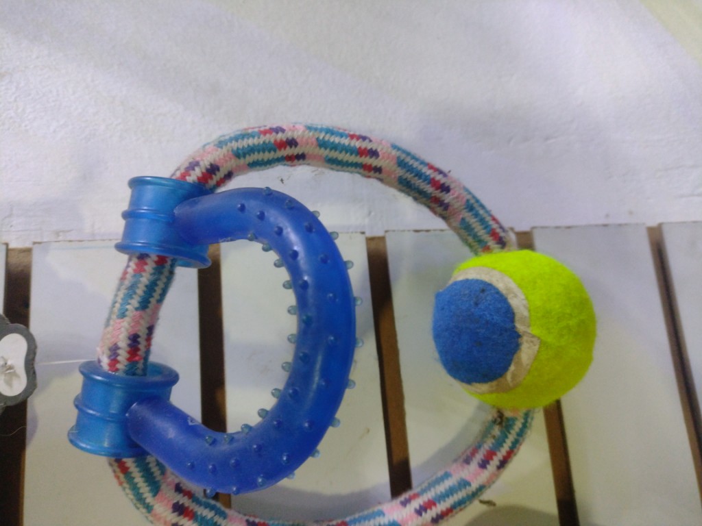 JUGUETE CUERDA CON PELOTA + MORDEDOR PERRO