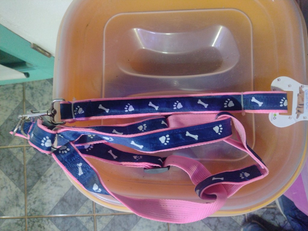 ARNÉS PERRO C/DISEÑO Y CORREA GRANDE
