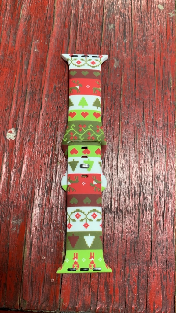 Correa reloj